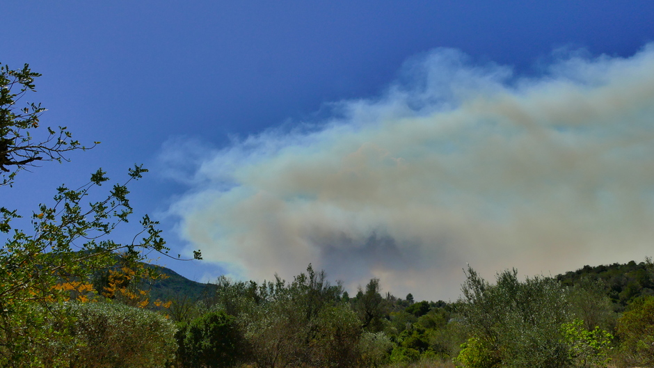 Nieuwe natuurbrand bij Alcalali op 3 km van ons huis 