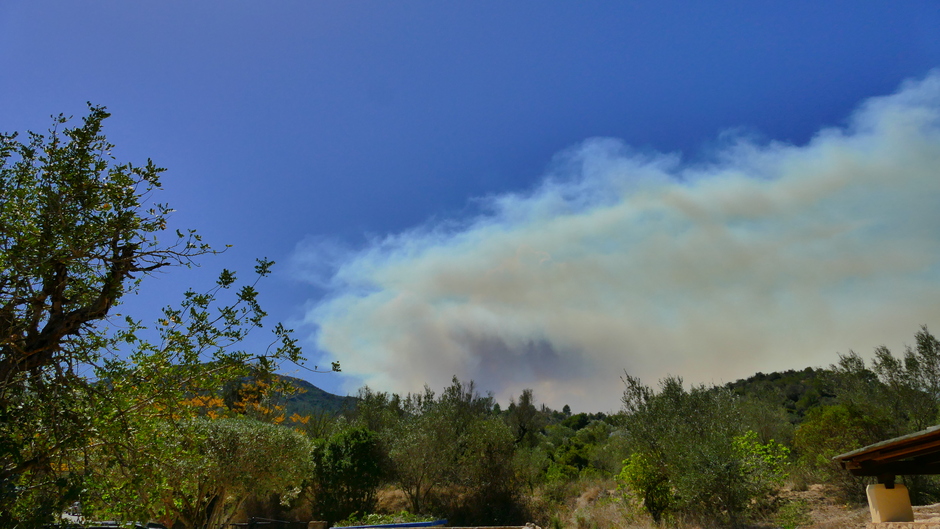 Vandaag opnieuw bosbrand bij Alcalali op 3 km afstand 