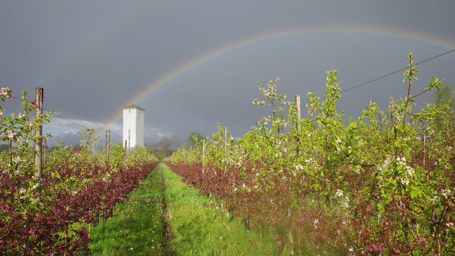 Prachtige lucht en regenboog in Midden-Nederland 