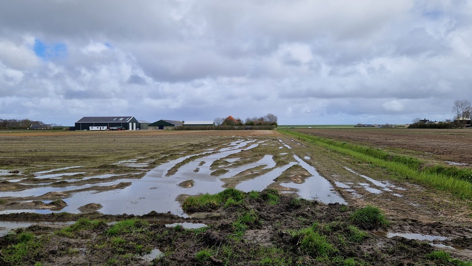 Landerijen nog niet droog op Texel 