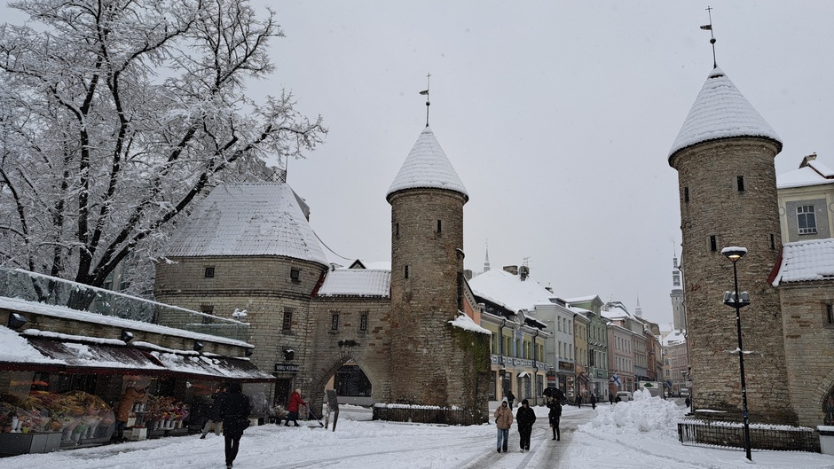 Sneeuw in Tallinn