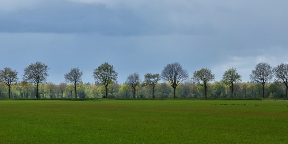 Langelo (Drenthe)